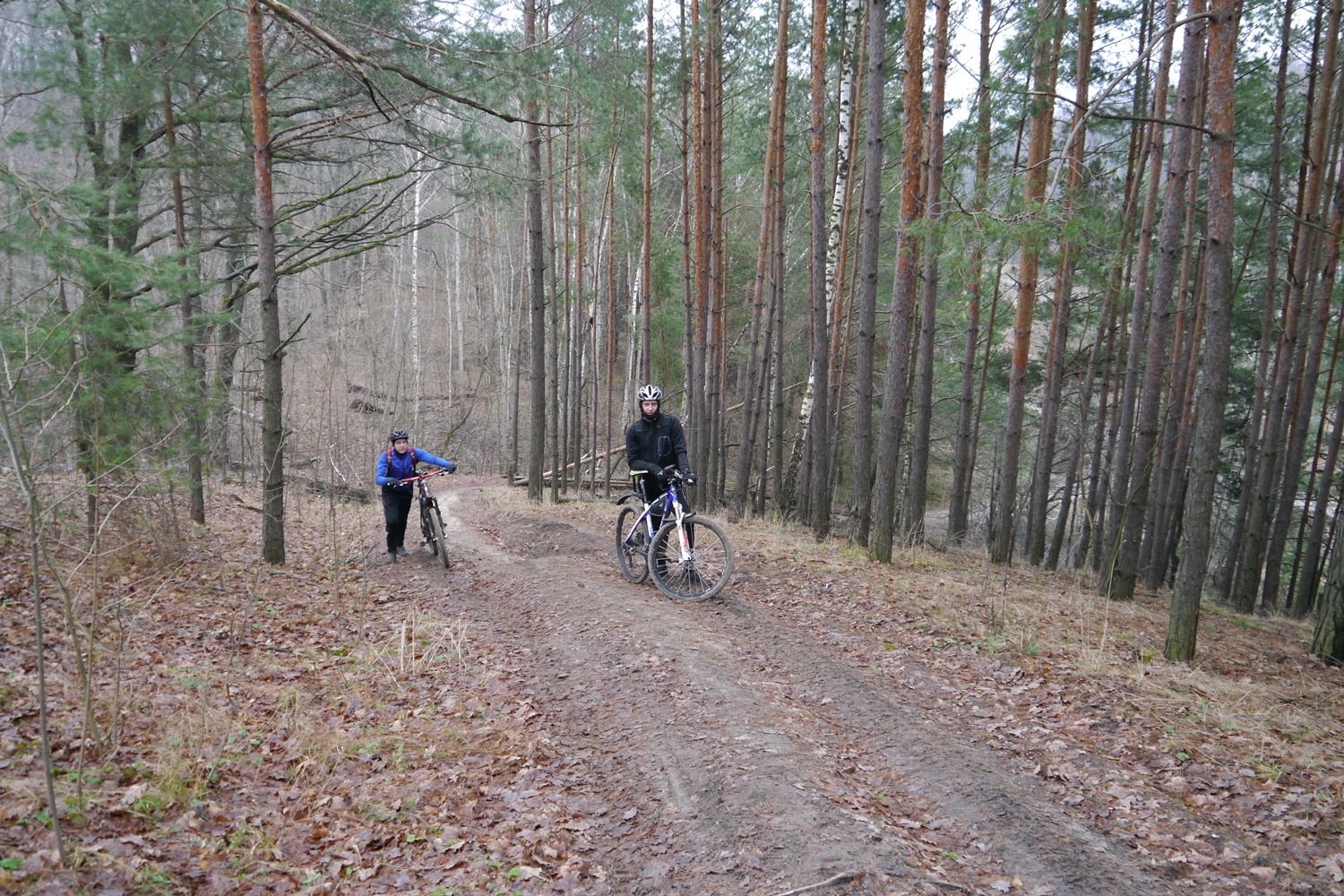 P1340679.JPG