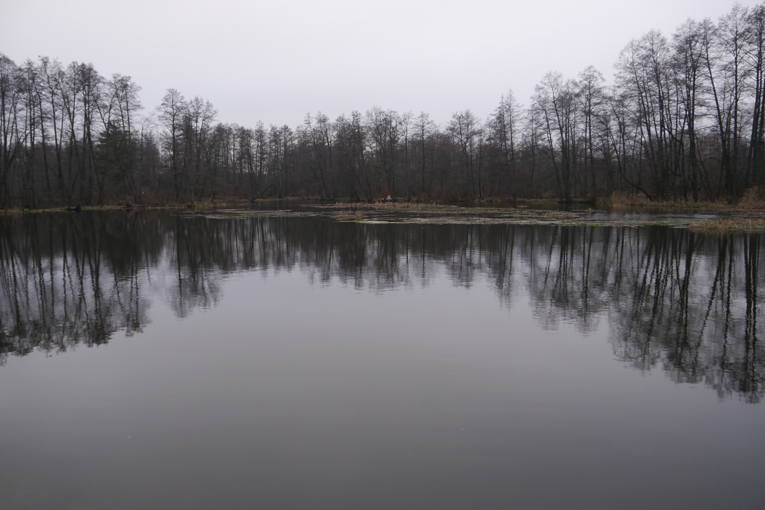 P1340720.JPG