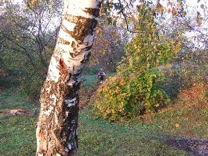 DSCF0192.JPG