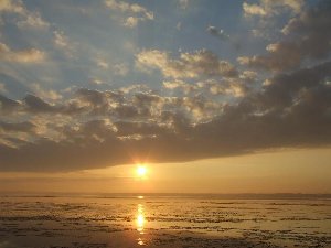 DSCF0200.JPG