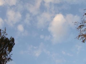 DSCF0202.JPG