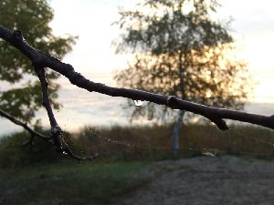 DSCF0209.JPG