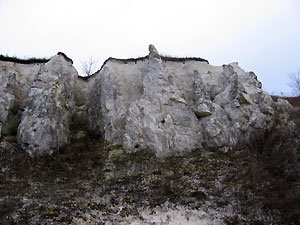 Поездка 26 октября 2008 года