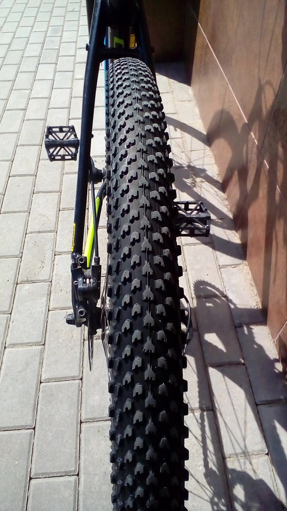 P_20180408_110209.jpg