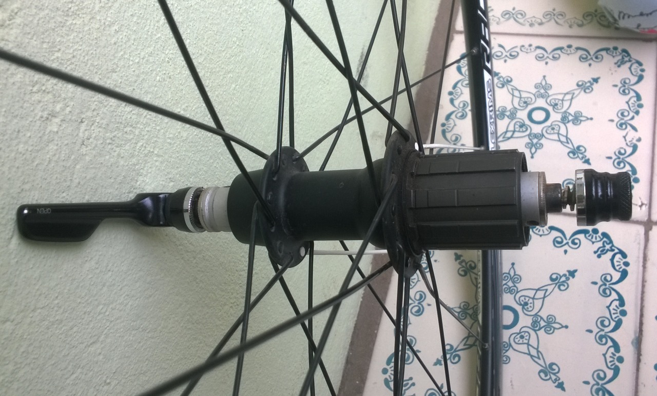wheel-2.jpg
