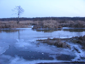 IMG_0092.jpg