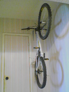 bike_on_wall_front.jpg