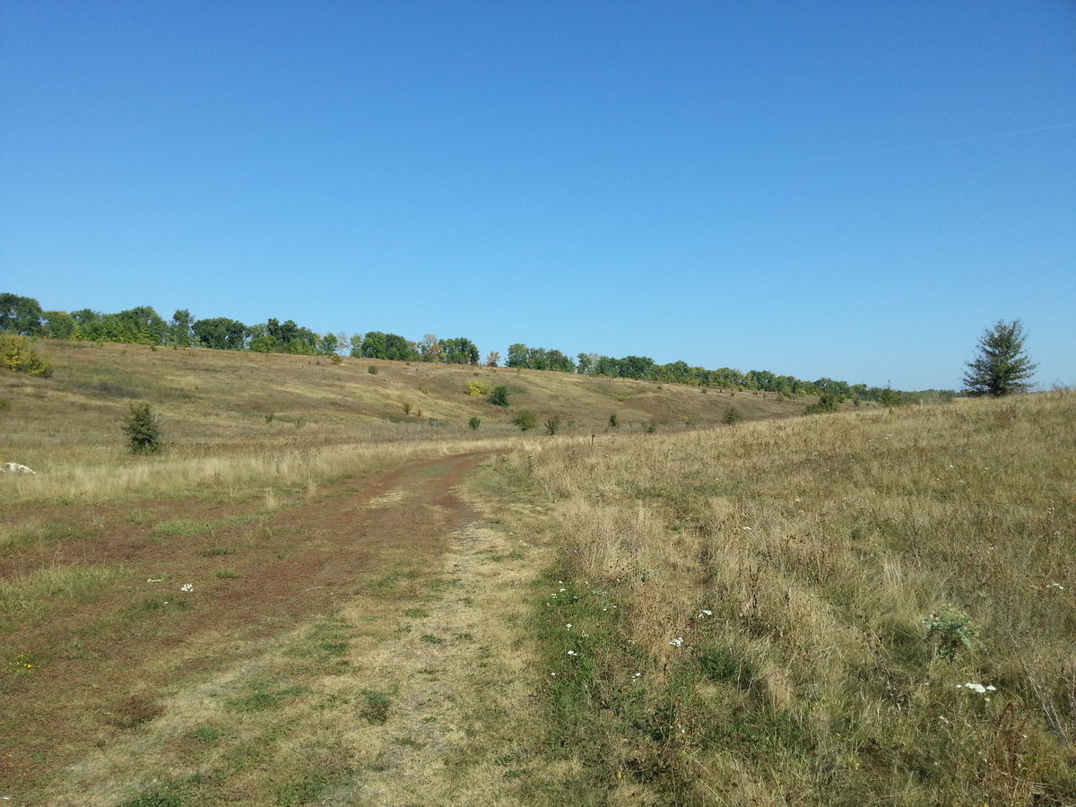 20180922_131033_.jpg