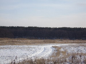 А дорожки то укатаны прилично
