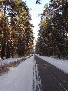 Особенно вот эта)
