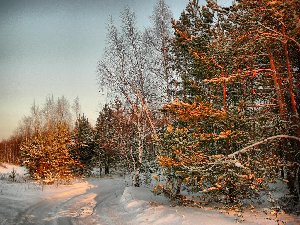 0501-2.jpg