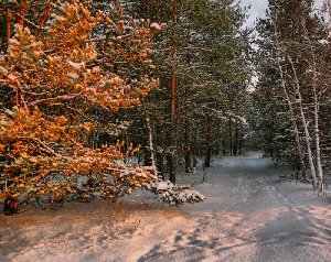 0501-3.jpg