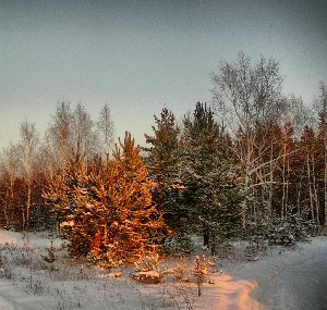 0501-4.jpg