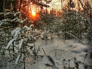 0501-5.jpg