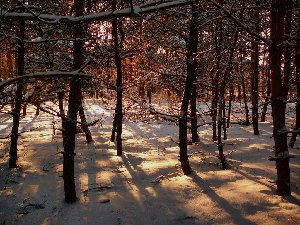 06-01.jpg