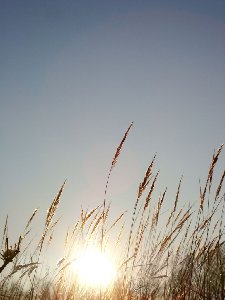 Не верится что зима, как будто лето)