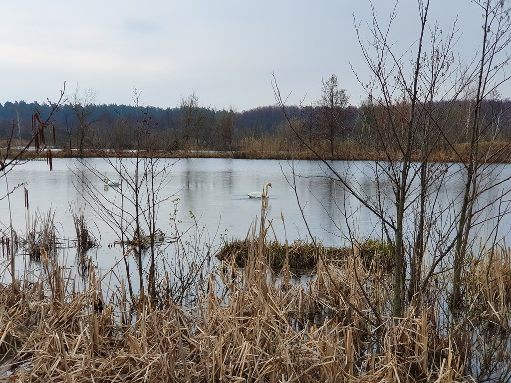 2019-04-14 16-45-53.jpg