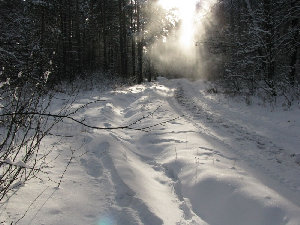 IMG_0259.jpg