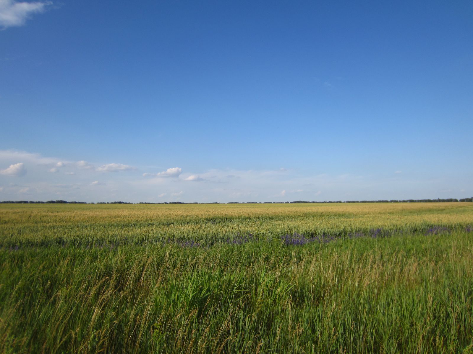 2019_06_18 17-40-48 IMG_1838.jpg