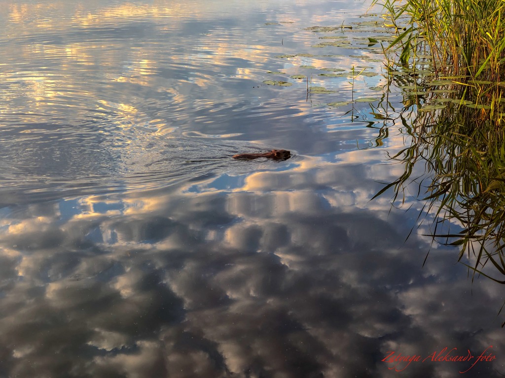 imgonline-com-ua-Resize-36UdpoAySdO1.jpg