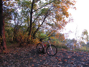 IMG_1690.jpg