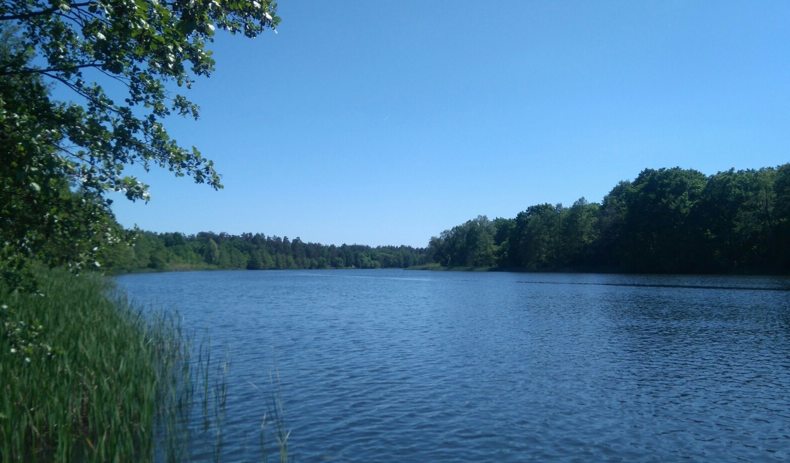 _20190719_151524.JPG