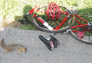 bike_crash_3.jpg