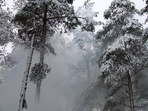 DSCF5292.JPG