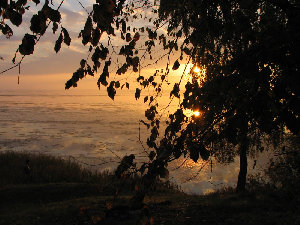IMG_1719.jpg