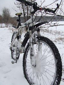 DSCF5317.JPG