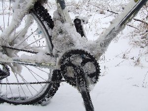 DSCF5319.JPG