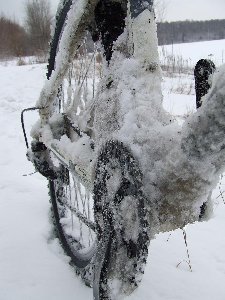 DSCF5320.JPG