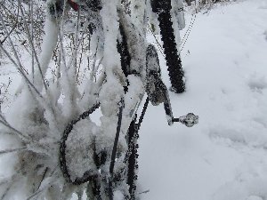 DSCF5325.JPG
