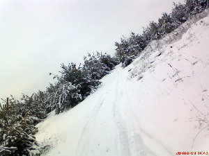 DSC00295.jpg