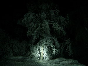 S7300489_resize.JPG
