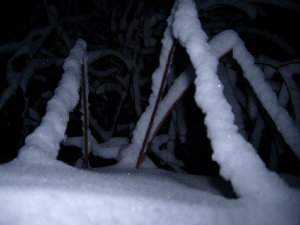 S7300492_resize.JPG