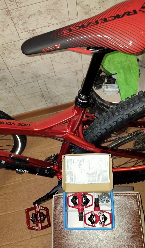 IMG20200222164740.jpg