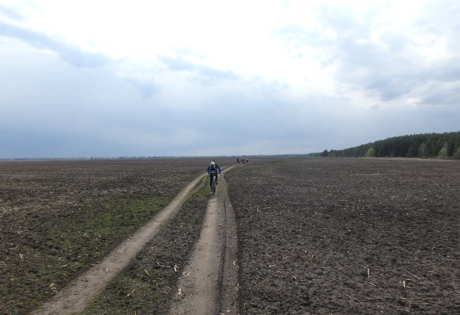 24fields.jpg