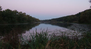 DSCF6991.jpg
