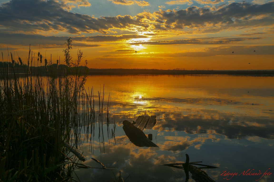 imgonline-com-ua-Resize-8y5lwC5iJ5wxNl.jpg