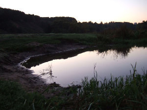 DSCF6950.jpg