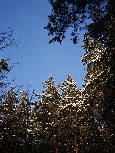 DSC01887.JPG