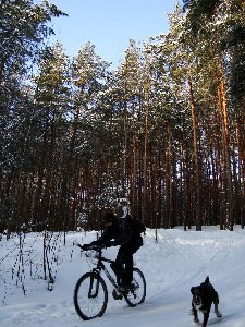 Монах и Норд. На спине Монаха гордо развивается флаг Вело36