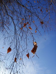 DSC01898.JPG