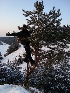 Монах-древолаз =)