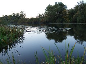 DSCF7066.jpg