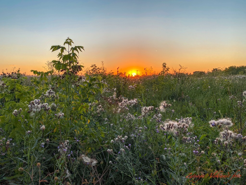 imgonline-com-ua-Resize-JFGLaAObFIROv.jpg