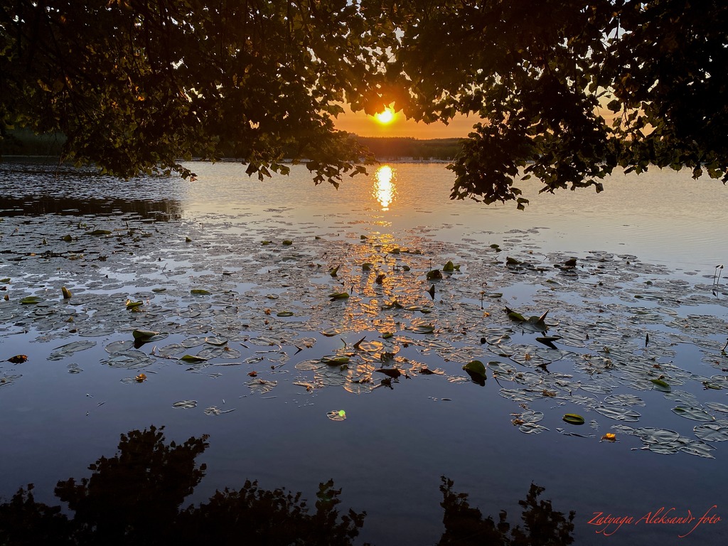 imgonline-com-ua-Resize-d3LirYsSSFiW5.jpg