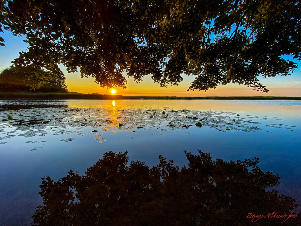 imgonline-com-ua-Resize-hD6gh3T54FB.jpg
