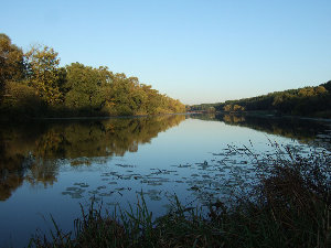 DSCF7205.jpg